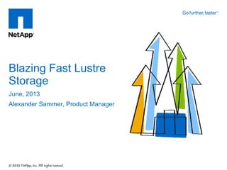 June, 2013
Alexander Sammer, Product Manager
Blazing Fast Lustre
Storage
 