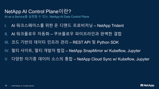 NetApp AI Control Plane | PDF