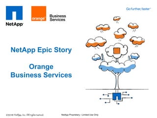 NetApp Epic Story
Orange
Business Services
NetApp Proprietary - Limited Use Only
 