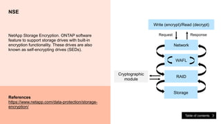 NetAppOverview | PDF