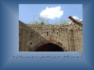 ‫ها‬ ‫آن‬ ‫ریشه‬ ‫بردن‬ ‫بین‬ ‫از‬ ‫و‬ ‫پاشی‬ ‫نمک‬ ‫روش‬ ‫به‬ : ‫گیاهان‬ ‫بردن‬ ‫بین‬ ‫از‬
 