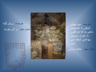 : ‫عارضه‬
‫دیوارچینی‬
‫قسمتهای‬ ‫به‬ ‫الحاقی‬
‫اکنون‬ ‫هم‬ ‫که‬ ‫بنا‬ ‫داخلی‬
‫سرویس‬ ‫عنوان‬ ‫به‬
‫می‬ ‫استفاده‬ ‫بهداشتی‬
‫شود‬
: ‫عارضه‬
‫گیاه‬ ‫رویش‬
: ‫مخل‬ ‫عامل‬
‫اثررطوبت‬ ‫بر‬
: ‫مخل‬ ‫عامل‬
‫انسانی‬ ‫دخالت‬
 