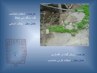 : ‫عارضه‬
‫کفسازی‬ ‫در‬ ‫گیاه‬ ‫رویش‬
: ‫مخل‬ ‫عامل‬
‫نامناسب‬ ‫کردن‬ ‫آسفالت‬
: ‫عارضه‬
‫نامناسب‬ ‫آسفالت‬
‫حیاط‬ ‫سنگفرشی‬ ‫کف‬
: ‫مخل‬ ‫عامل‬
‫انسانی‬ ‫دخالت‬
 