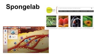 Spongelab
 