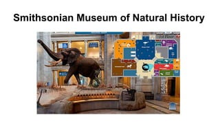 Smithsonian Museum of Natural History
 