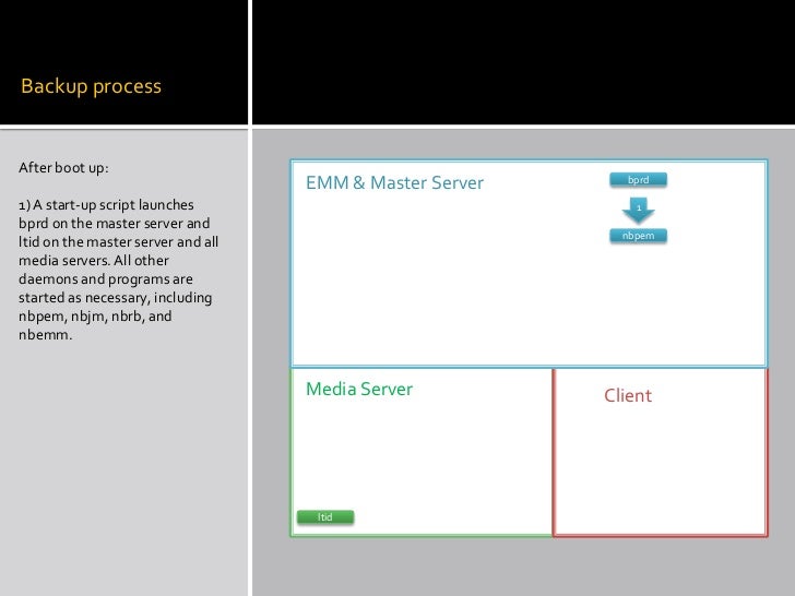 Netbackup 6.5 backup process