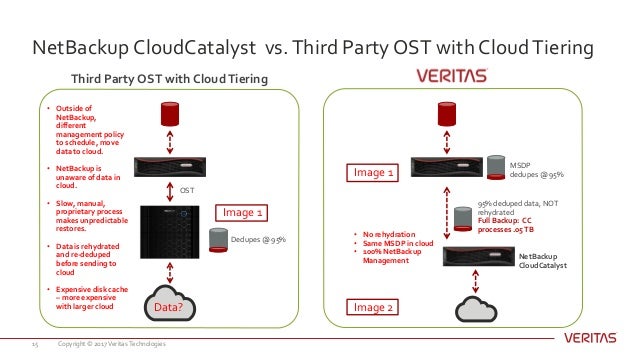 Netbackup Cloudcatalyst Efficient Cost Effective Deduplication To