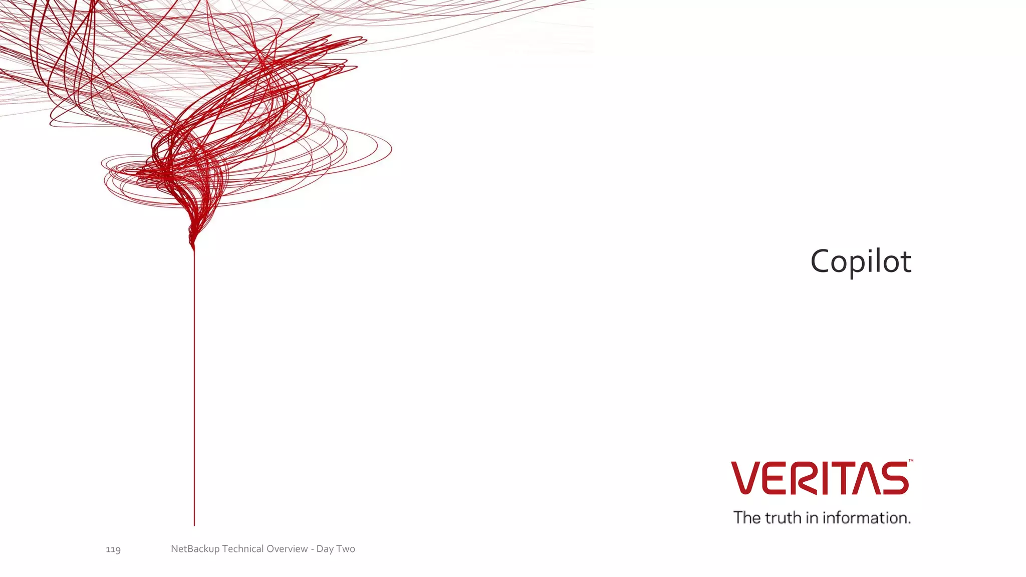 Copilot
NetBackup Technical Overview - Day Two119
 