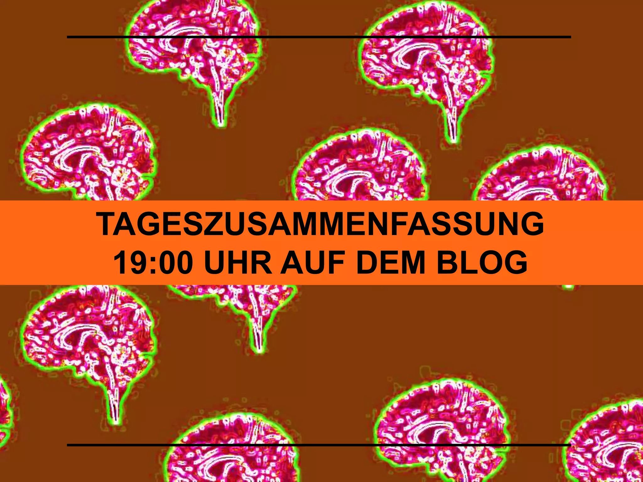 TAGESZUSAMMENFASSUNG 
19:00 UHR AUF DEM BLOG 
 