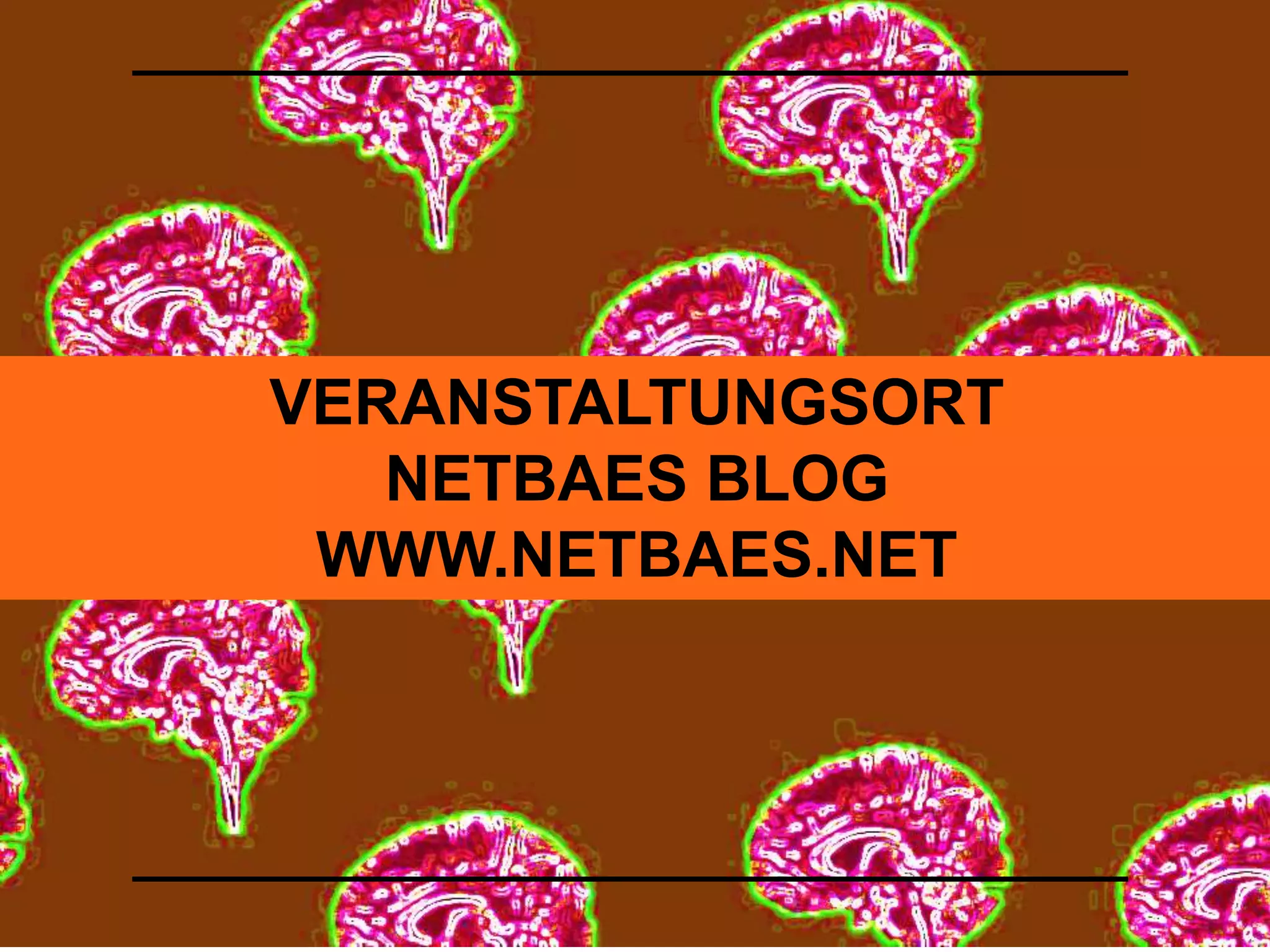 VERANSTALTUNGSORT 
NETBAES BLOG 
WWW.NETBAES.NET 
 