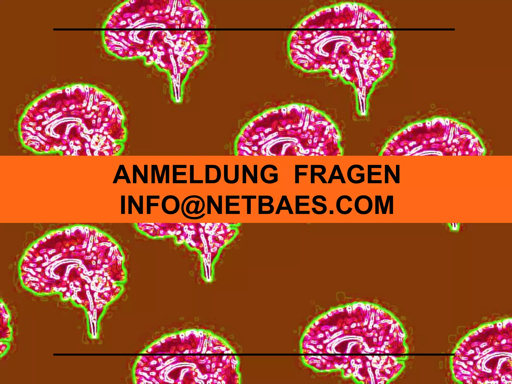 ANMELDUNG FRAGEN 
INFO@NETBAES.COM 
