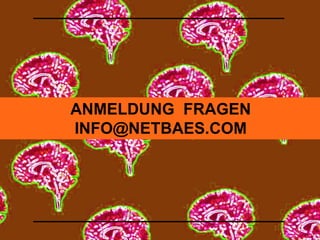 ANMELDUNG FRAGEN 
INFO@NETBAES.COM 
