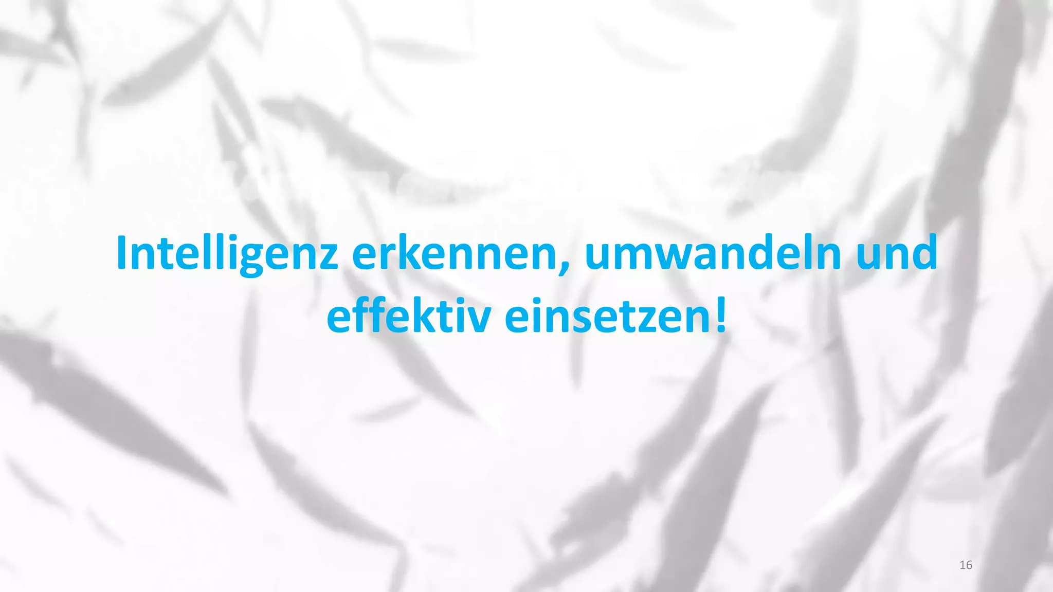 Intelligenz erkennen, umwandeln und
effektiv einsetzen!
16
 