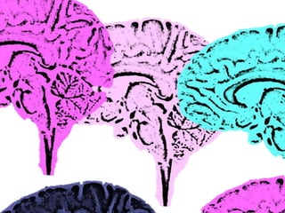 Ertragsbausteine kollektiver Intelligenz