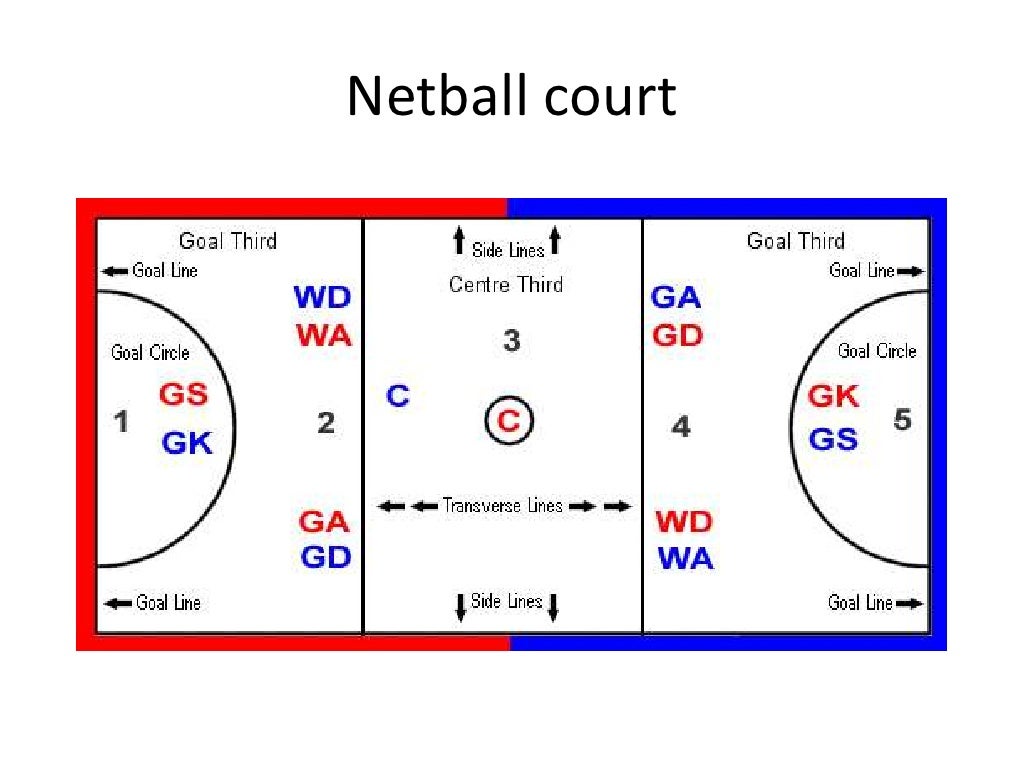 Netball powerpoint