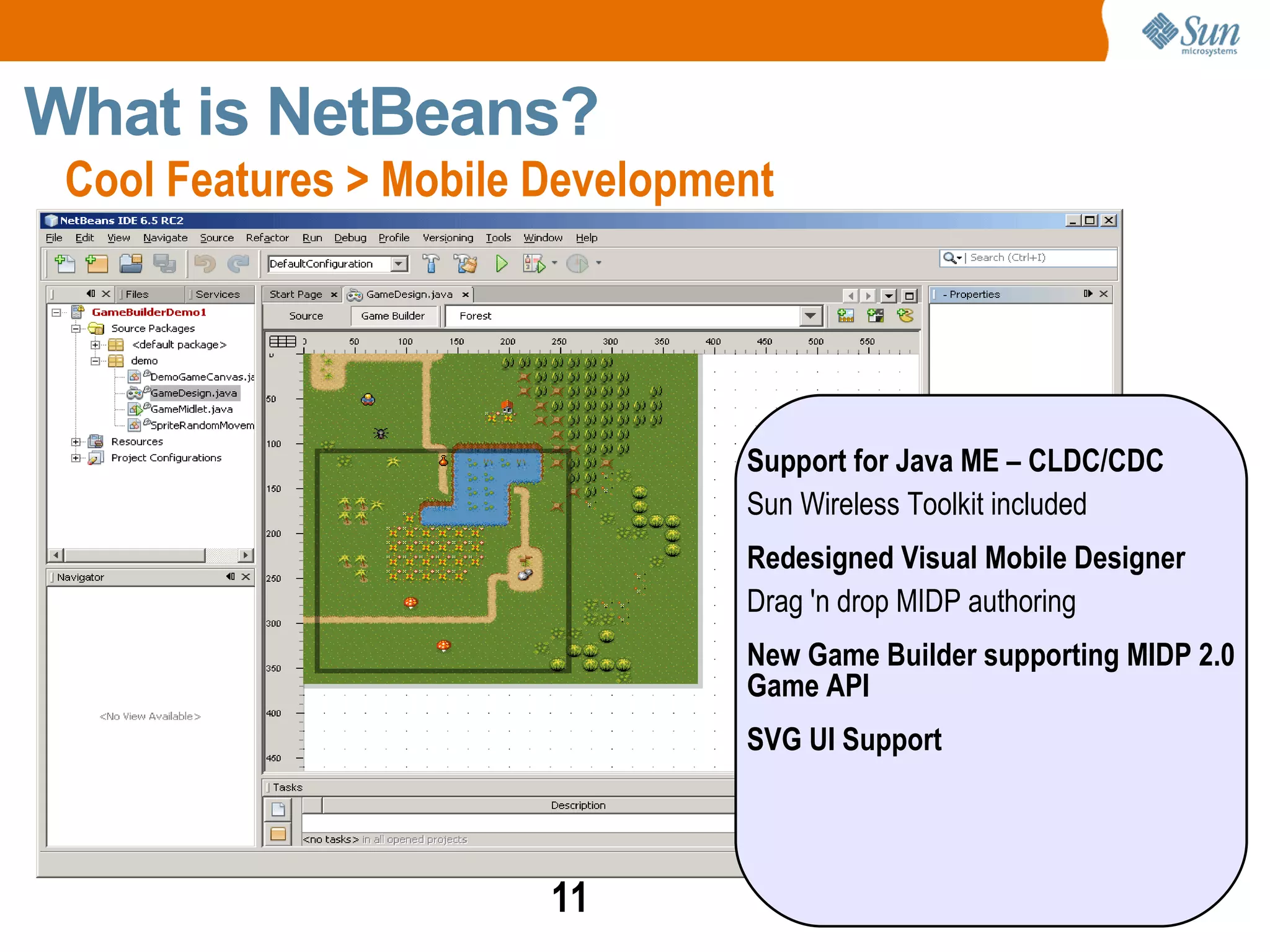Rich client Java applications 
