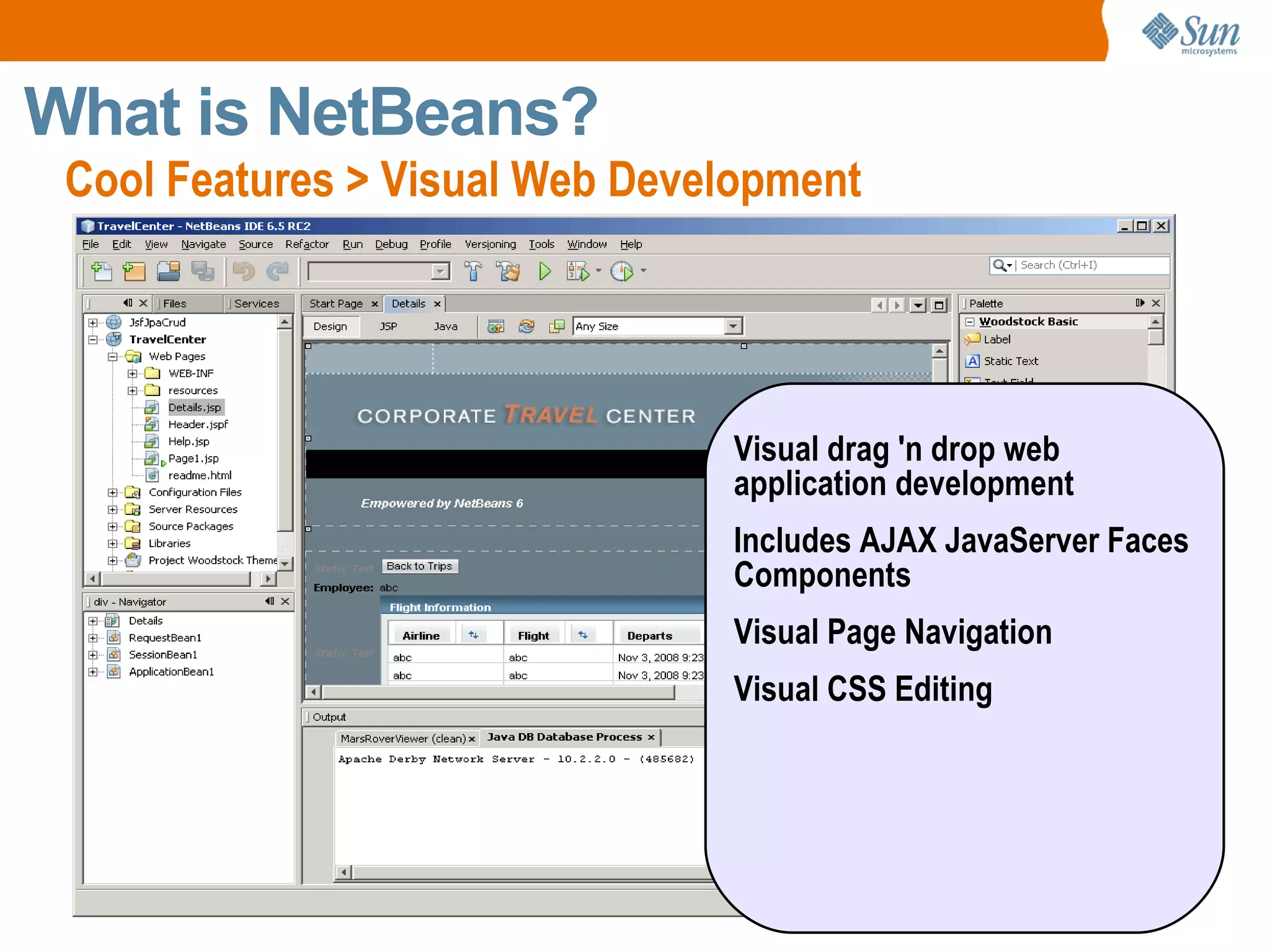 Large community of users and developers 
