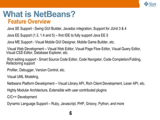 What is NetBeans? 