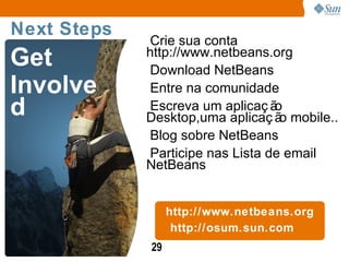 Netbeans Platform Development – Visual Library API, Rich Client Development, Lexer API, etc. 