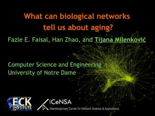 Computer Science and Engineering
University of Notre Dame
What can biological networks
tell us about aging?
Fazle E. Faisal, Han Zhao, and Tijana Milenković
 