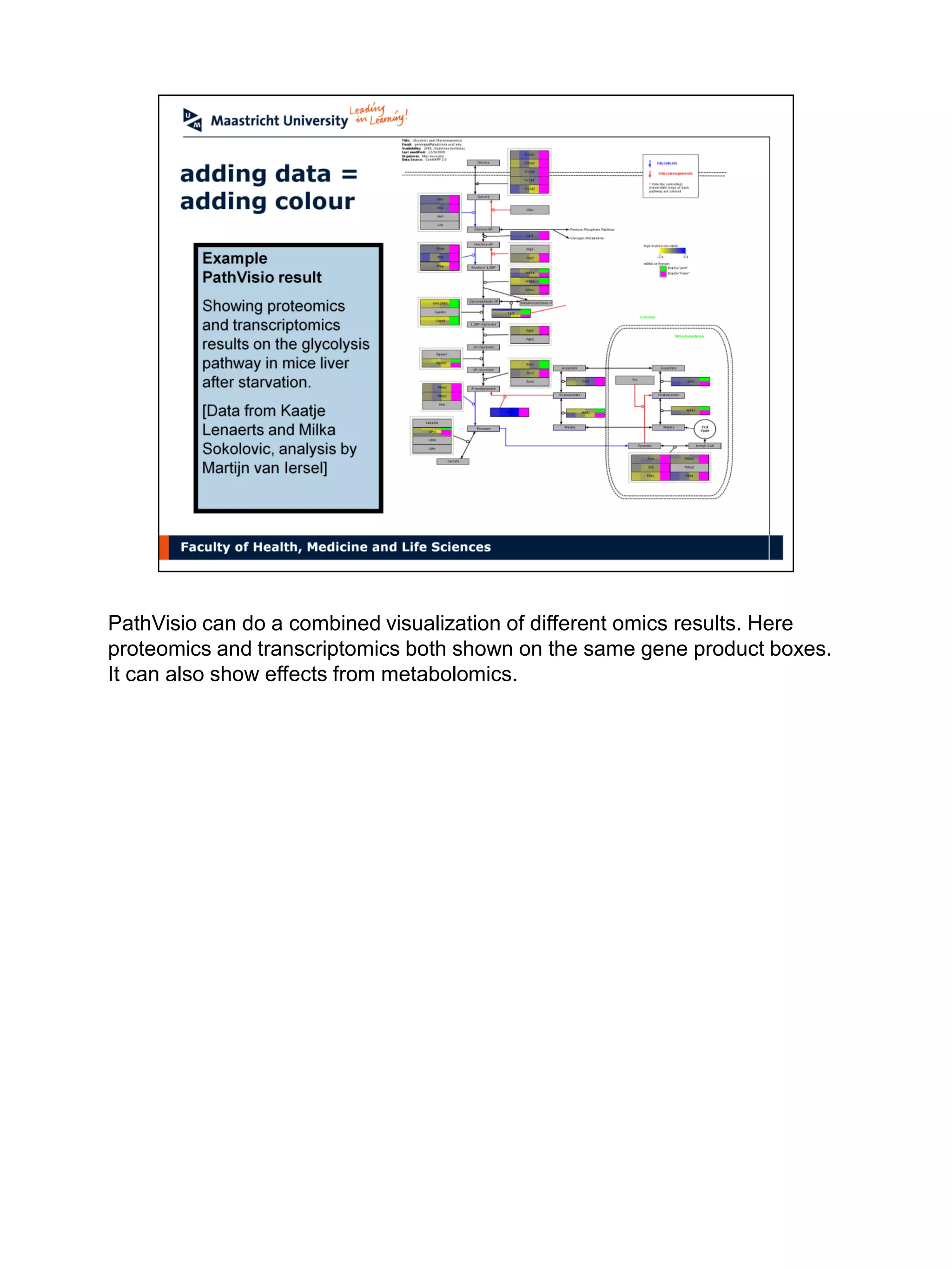 PathVisio can do a combined visualization of different omics results. Here
proteomics and transcriptomics both shown on the same gene product boxes.
It can also show effects from metabolomics.
 