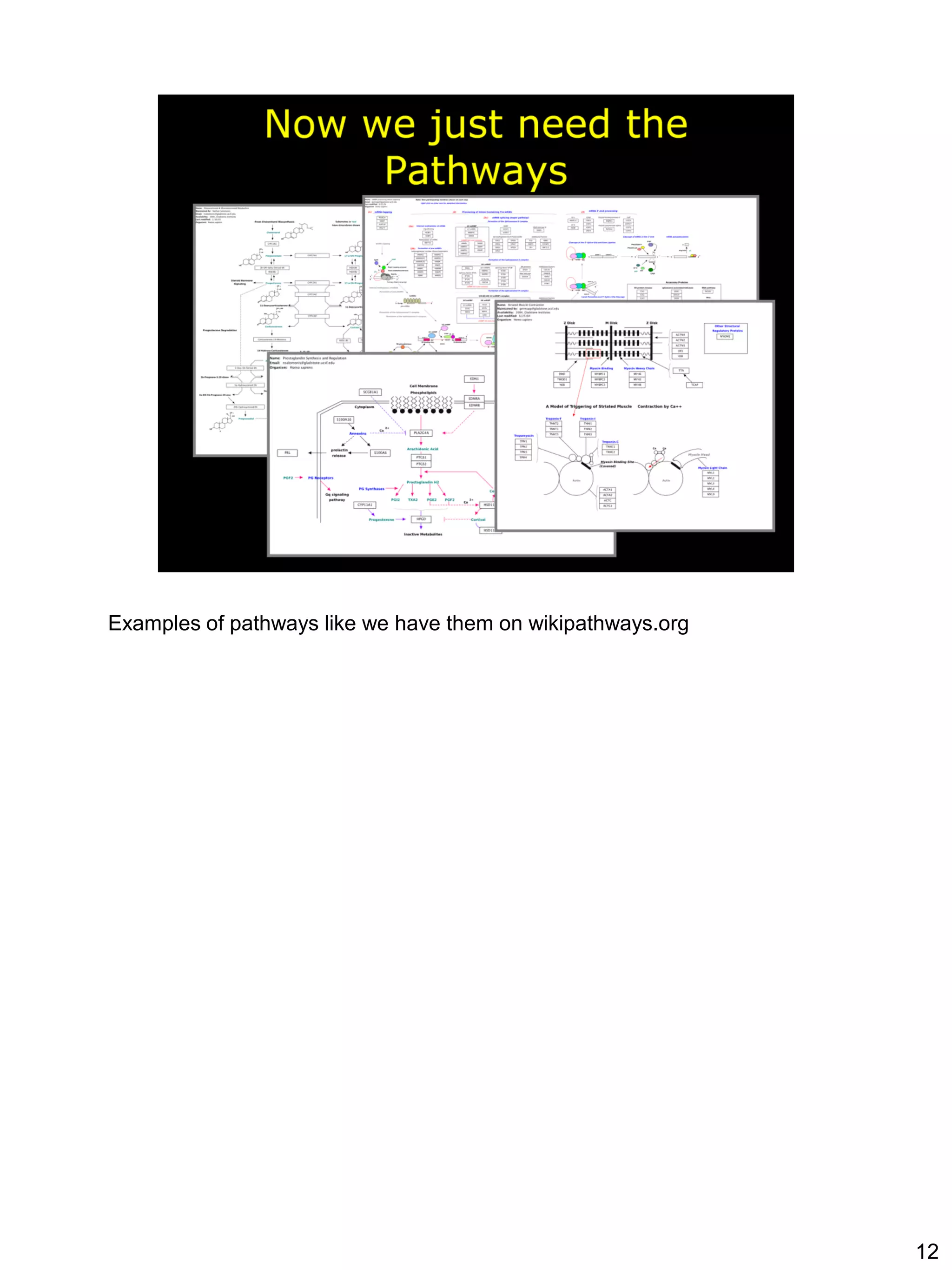 Examples of pathways like we have them on wikipathways.org




                                                             12
 