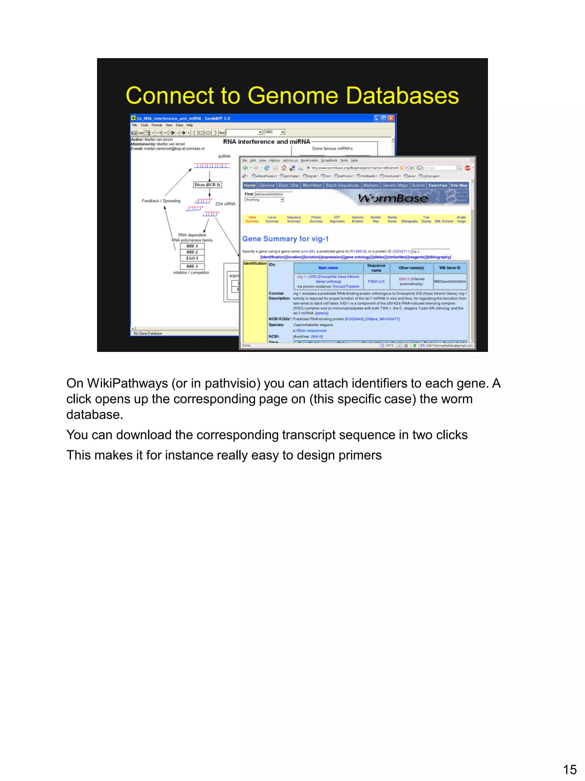 On WikiPathways (or in pathvisio) you can attach identifiers to each gene. A
click opens up the corresponding page on (this specific case) the worm
database.
You can download the corresponding transcript sequence in two clicks
This makes it for instance really easy to design primers




                                                                               15
 