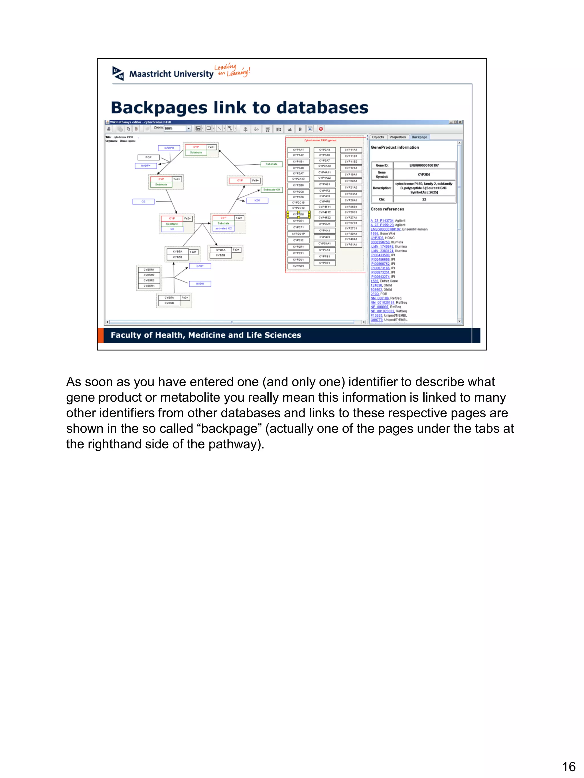 As soon as you have entered one (and only one) identifier to describe what
gene product or metabolite you really mean this information is linked to many
other identifiers from other databases and links to these respective pages are
shown in the so called “backpage” (actually one of the pages under the tabs at
the righthand side of the pathway).




                                                                                 16
 