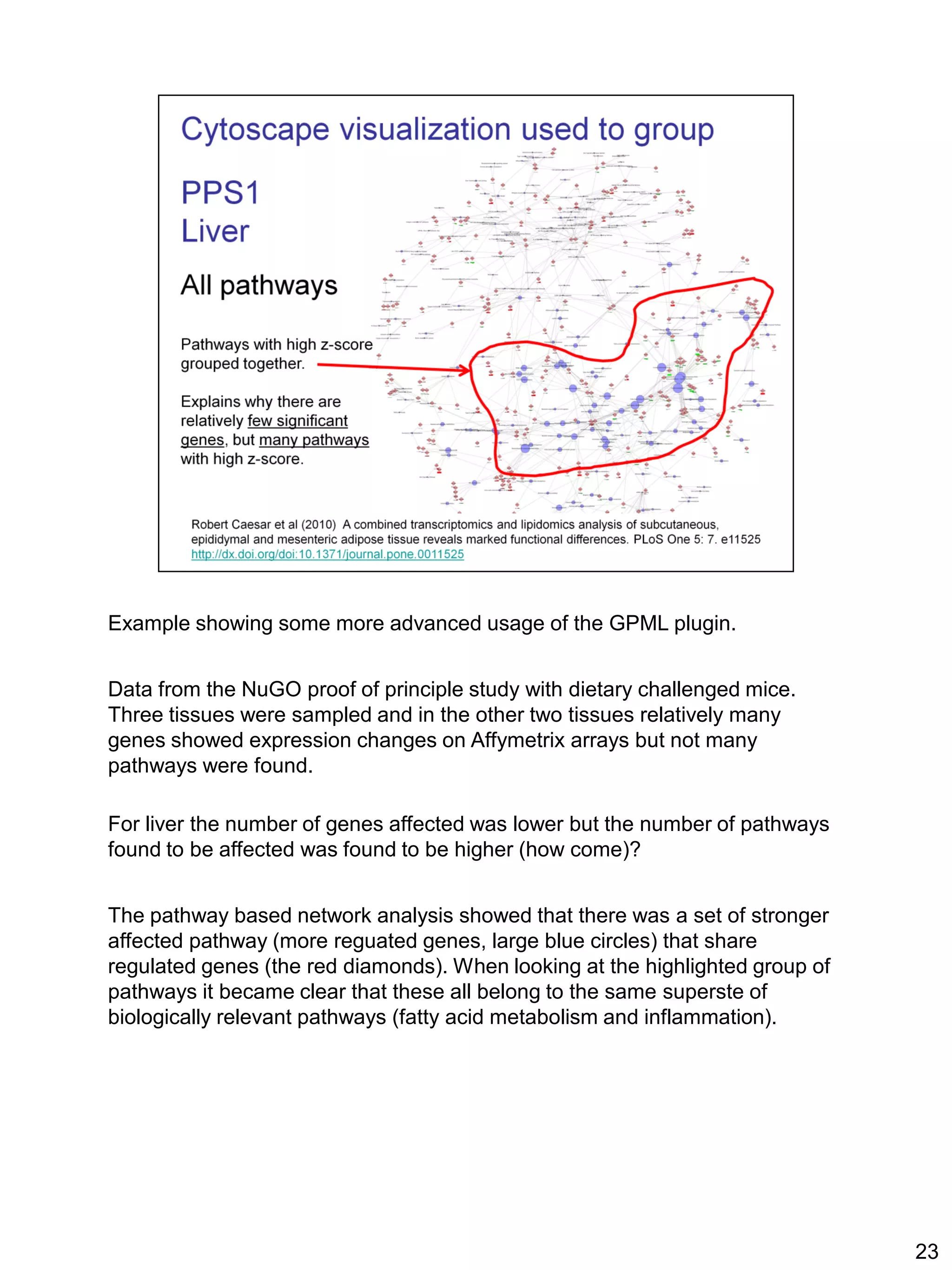 Example showing some more advanced usage of the GPML plugin.


Data from the NuGO proof of principle study with dietary challenged mice.
Three tissues were sampled and in the other two tissues relatively many
genes showed expression changes on Affymetrix arrays but not many
pathways were found.

For liver the number of genes affected was lower but the number of pathways
found to be affected was found to be higher (how come)?


The pathway based network analysis showed that there was a set of stronger
affected pathway (more reguated genes, large blue circles) that share
regulated genes (the red diamonds). When looking at the highlighted group of
pathways it became clear that these all belong to the same superste of
biologically relevant pathways (fatty acid metabolism and inflammation).




                                                                               23
 