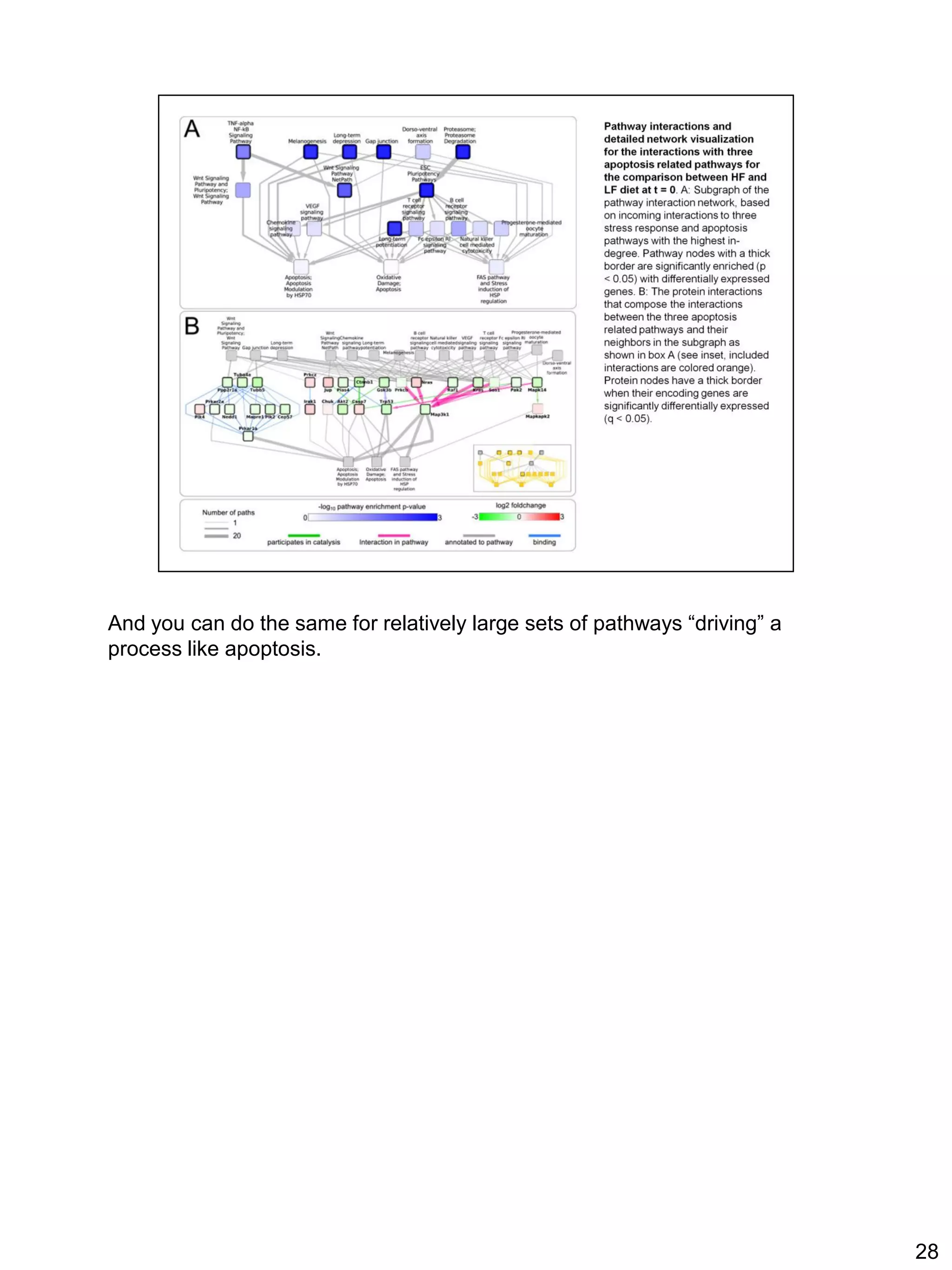 And you can do the same for relatively large sets of pathways “driving” a
process like apoptosis.




                                                                            28
 