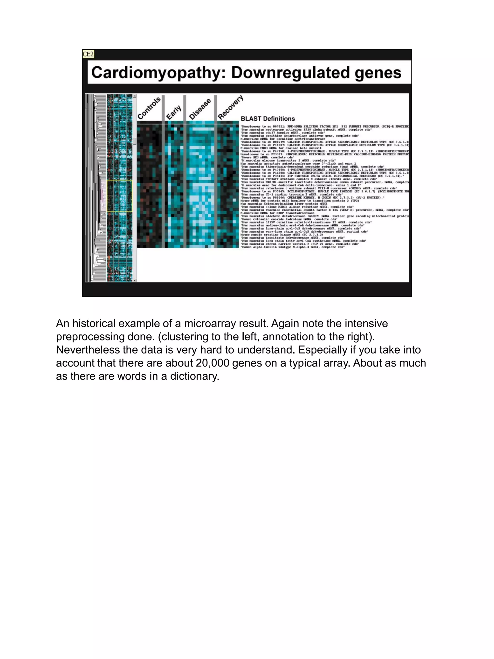 An historical example of a microarray result. Again note the intensive
preprocessing done. (clustering to the left, annotation to the right).
Nevertheless the data is very hard to understand. Especially if you take into
account that there are about 20,000 genes on a typical array. About as much
as there are words in a dictionary.
 