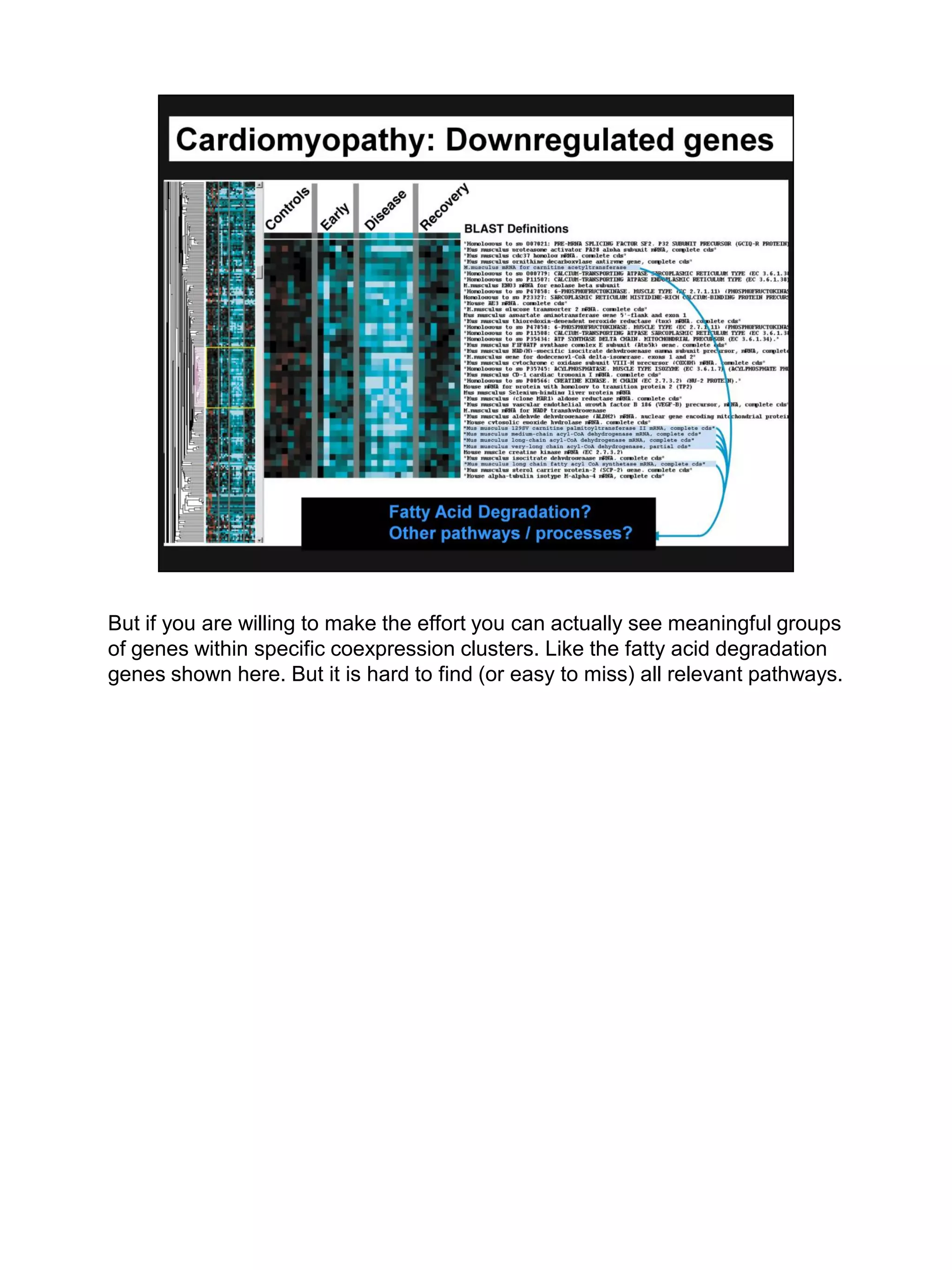 But if you are willing to make the effort you can actually see meaningful groups
of genes within specific coexpression clusters. Like the fatty acid degradation
genes shown here. But it is hard to find (or easy to miss) all relevant pathways.
 