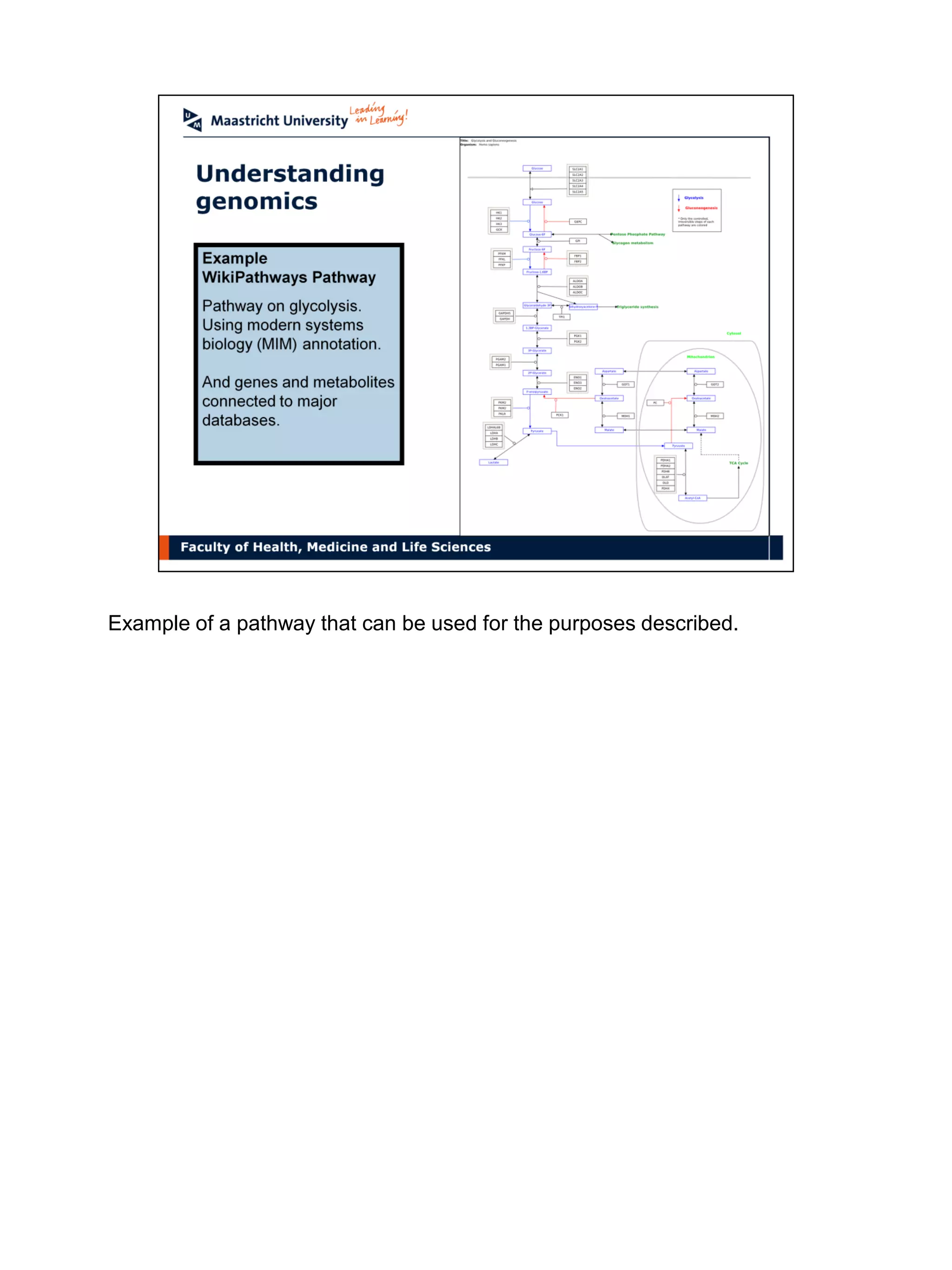Example of a pathway that can be used for the purposes described.
 