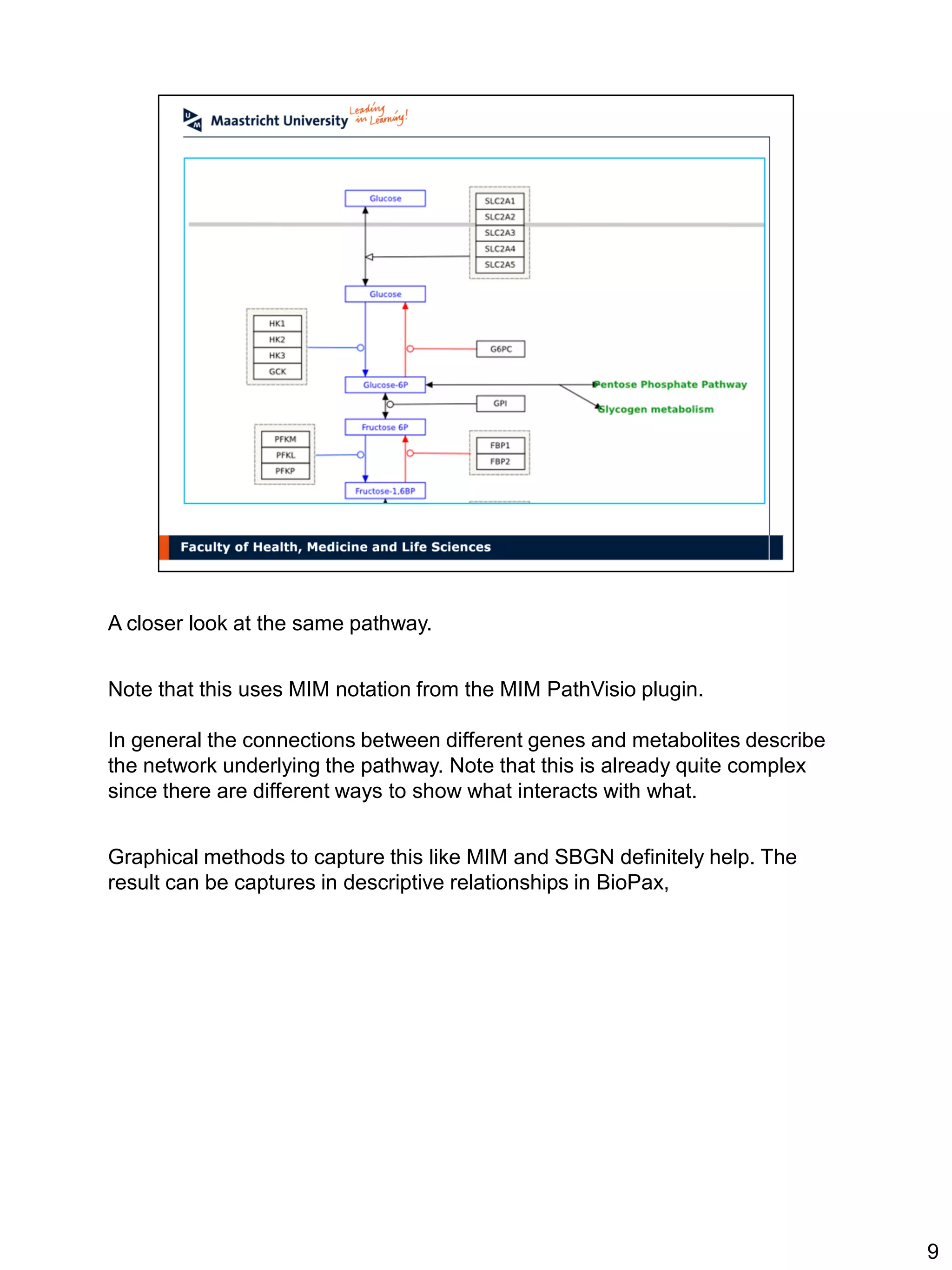 A closer look at the same pathway.


Note that this uses MIM notation from the MIM PathVisio plugin.

In general the connections between different genes and metabolites describe
the network underlying the pathway. Note that this is already quite complex
since there are different ways to show what interacts with what.


Graphical methods to capture this like MIM and SBGN definitely help. The
result can be captures in descriptive relationships in BioPax,




                                                                              9
 