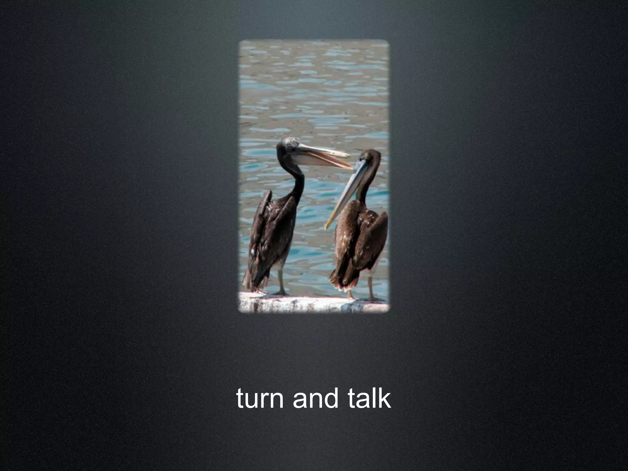 turn and talk 