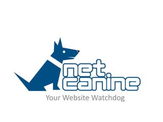 Your Website Watchdog
 