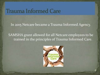 Netcare Access Overview of Services | PPT