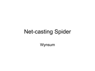 Net-casting Spider Wynsum 
