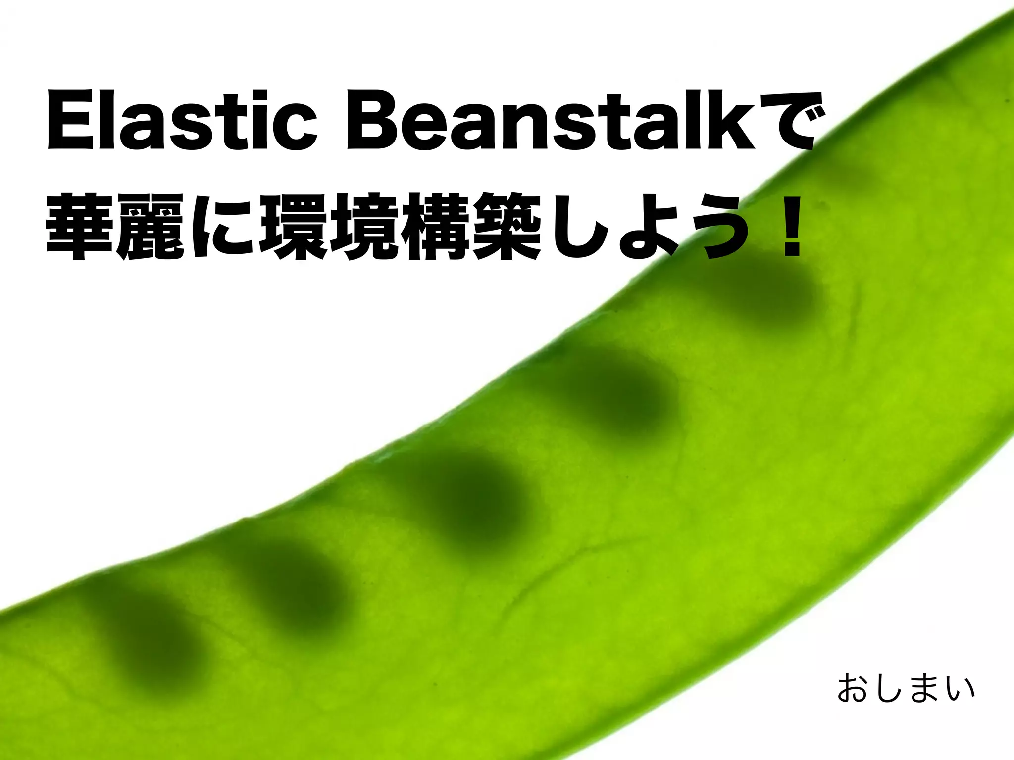 Elastic Beanstalkで
華麗に環境構築しよう！




                     おしまい
 