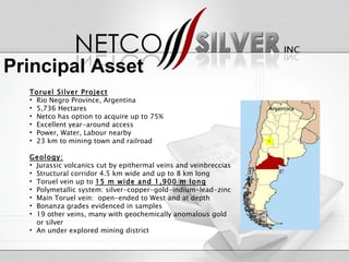 Toruel Silver Project Rio Negro Province, Argentina 5,736 Hectares Netco has option to acquire up to 75% Excellent year-around access Power, Water, Labour nearby 23 km to mining town and railroad Geology: Jurassic volcanics cut by epithermal veins and veinbreccias Structural corridor 4.5 km wide and up to 8 km long Toruel vein up to  15 m wide and 1,900 m long Polymetallic system: silver-copper-gold-indium-lead-zinc Main Toruel vein:  open-ended to West and at depth Bonanza grades evidenced in samples 19 other veins, many with geochemically anomalous gold or silver  An under explored mining district Argentina Principal Asset 