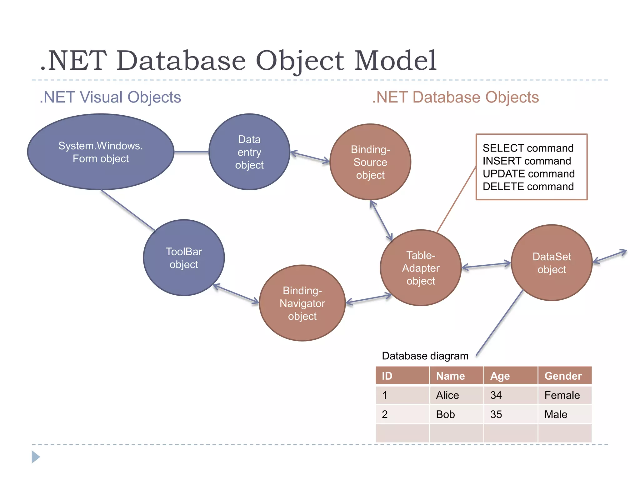 .NET Database Object Model.NET Visual Objects.NET Database ObjectsSystem.Windows.Form objectData entry objectBinding-Source objectSELECT commandINSERT commandUPDATE command DELETE commandToolBar objectDataSet objectTable-Adapter objectBinding-Navigator objectDatabase diagram
