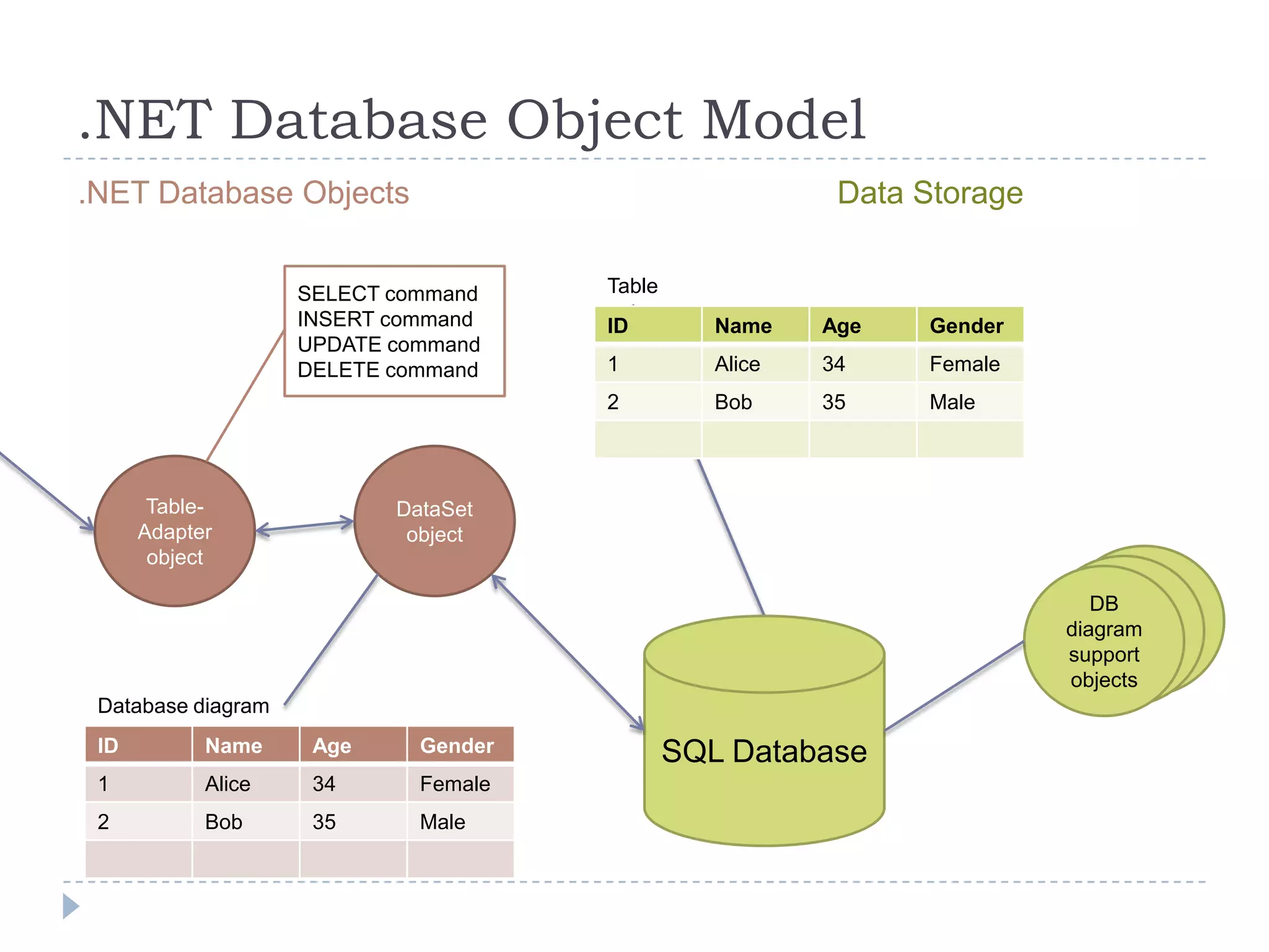 .NET Database Object ModelData Storage.NET Database ObjectsSELECT commandINSERT commandUPDATE command DELETE commandTableDataSet objectTable-Adapter objectDataSet objectDataSet objectDB diagram support objectsSQL DatabaseDatabasediagram