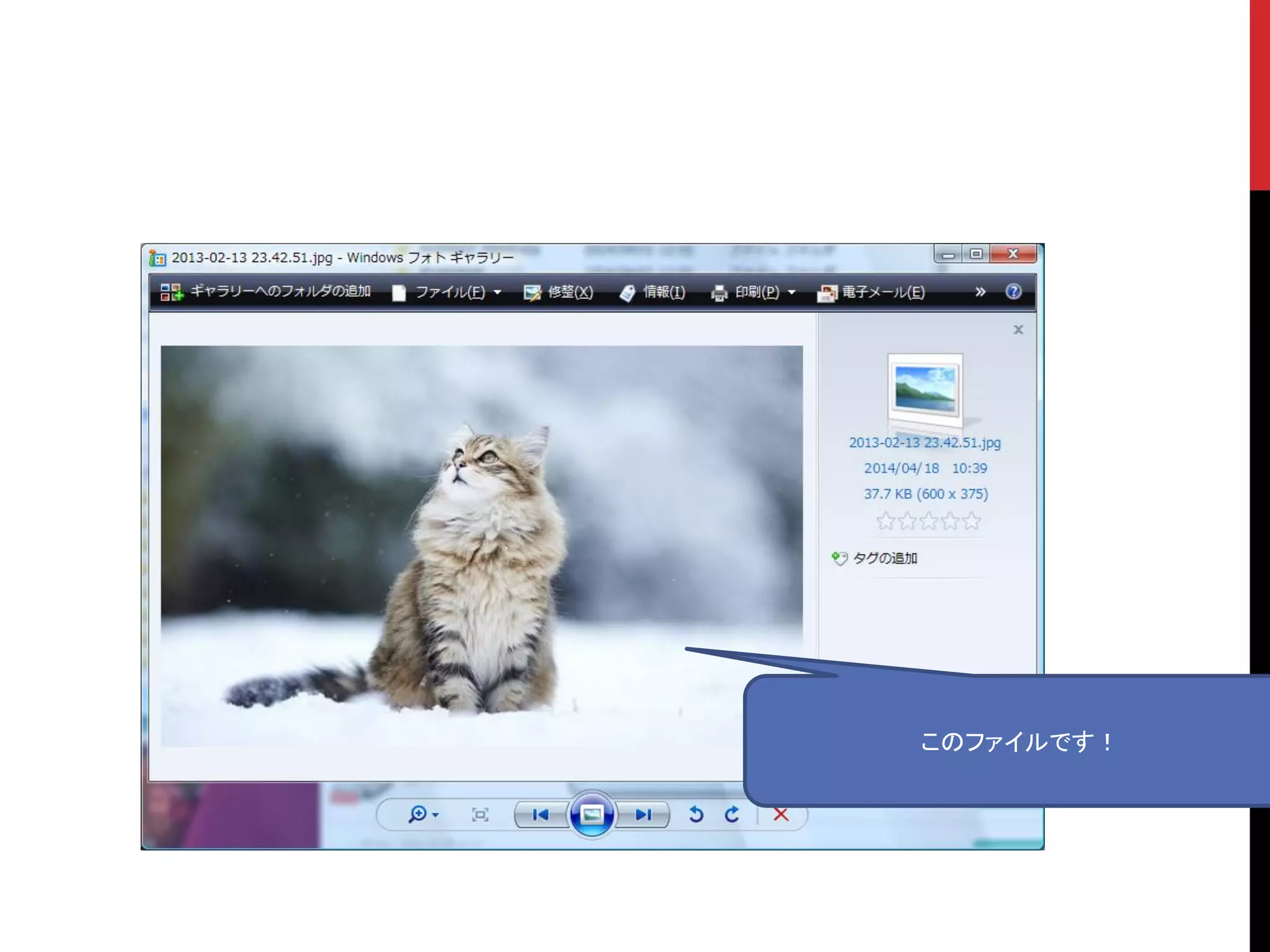 このファイルです！
 