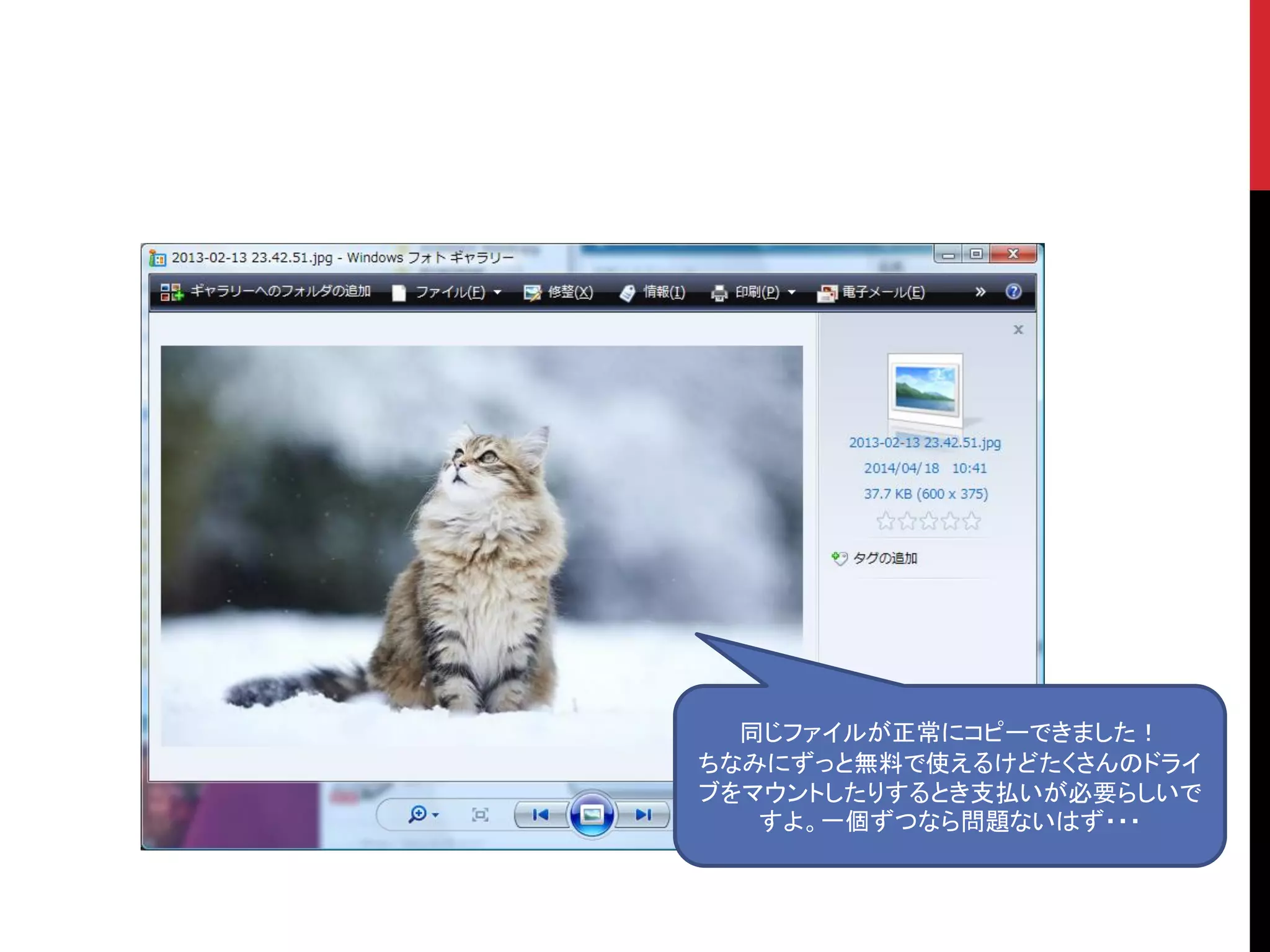 同じファイルが正常にコピーできました！
ちなみにずっと無料で使えるけどたくさんのドライ
ブをマウントしたりするとき支払いが必要らしいで
すよ。一個ずつなら問題ないはず・・・
 