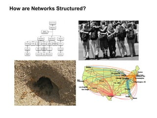 How are Networks Structured? 