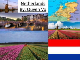 Netherlands
By: Quyen Vo
 