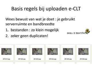 Basis regels bij uploaden e-CLT
Wees bewust van wat je doet : je gebruikt
serverruimte en bandbreedte
1. bestanden : zo klein mogelijk
2. zeker geen duplicaten!
 