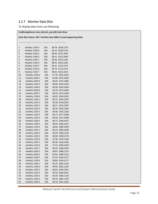 Netezza Architecture and Administration | PDF