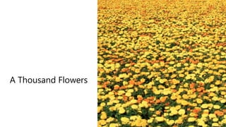 A Thousand Flowers
 