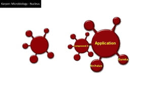 Karyon: Microbiology - Nucleus